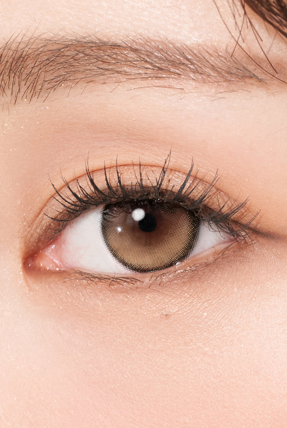 Secretive Kristin 1Day - 古典金棕