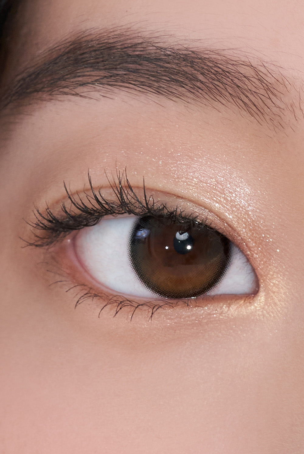 Secretive Kristin Plus - 黑色