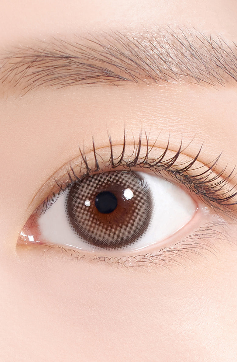 See Through Kristin 1Day *更新版* - 灰棕色