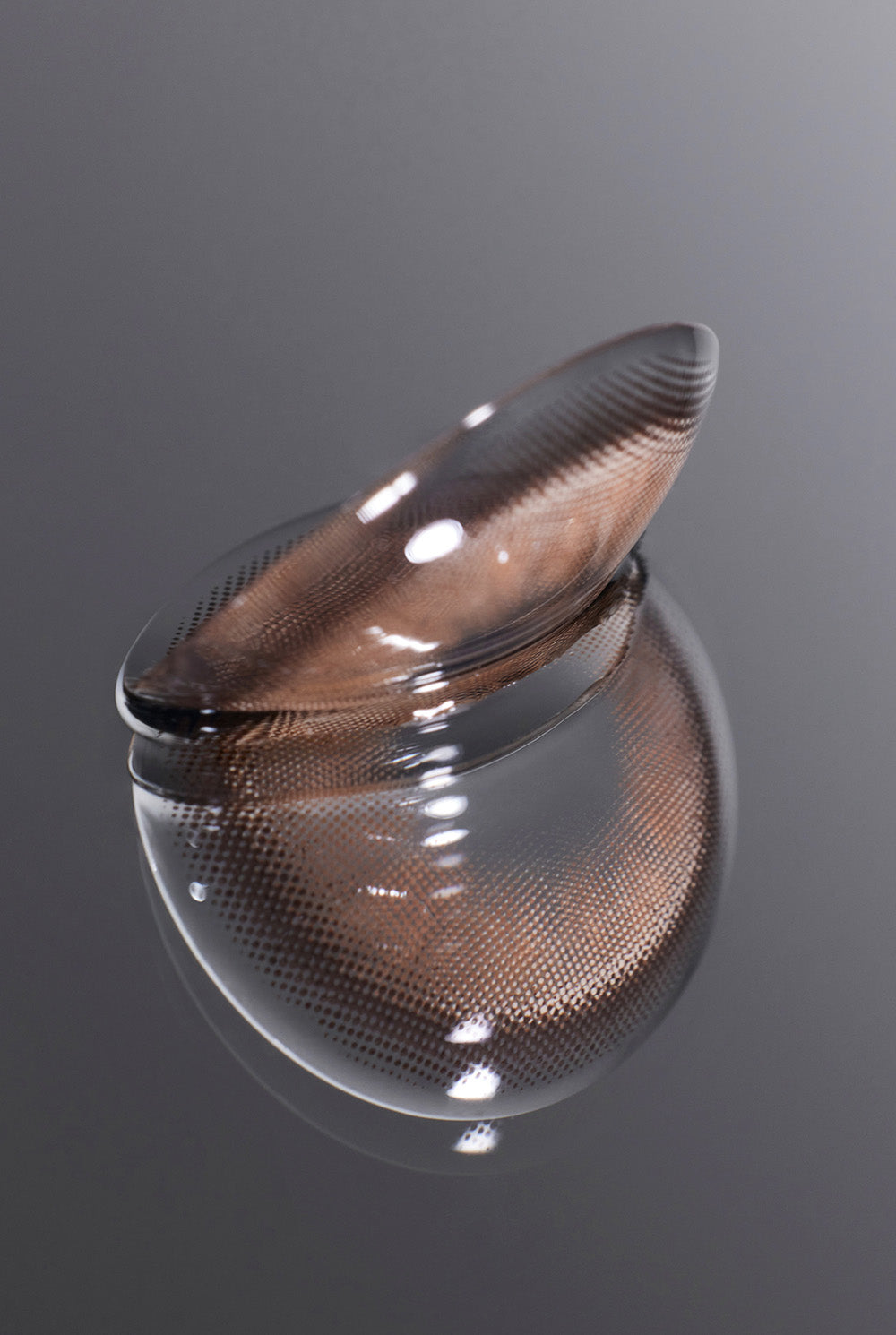 Dolly Kristin 1Day - 巧克棕