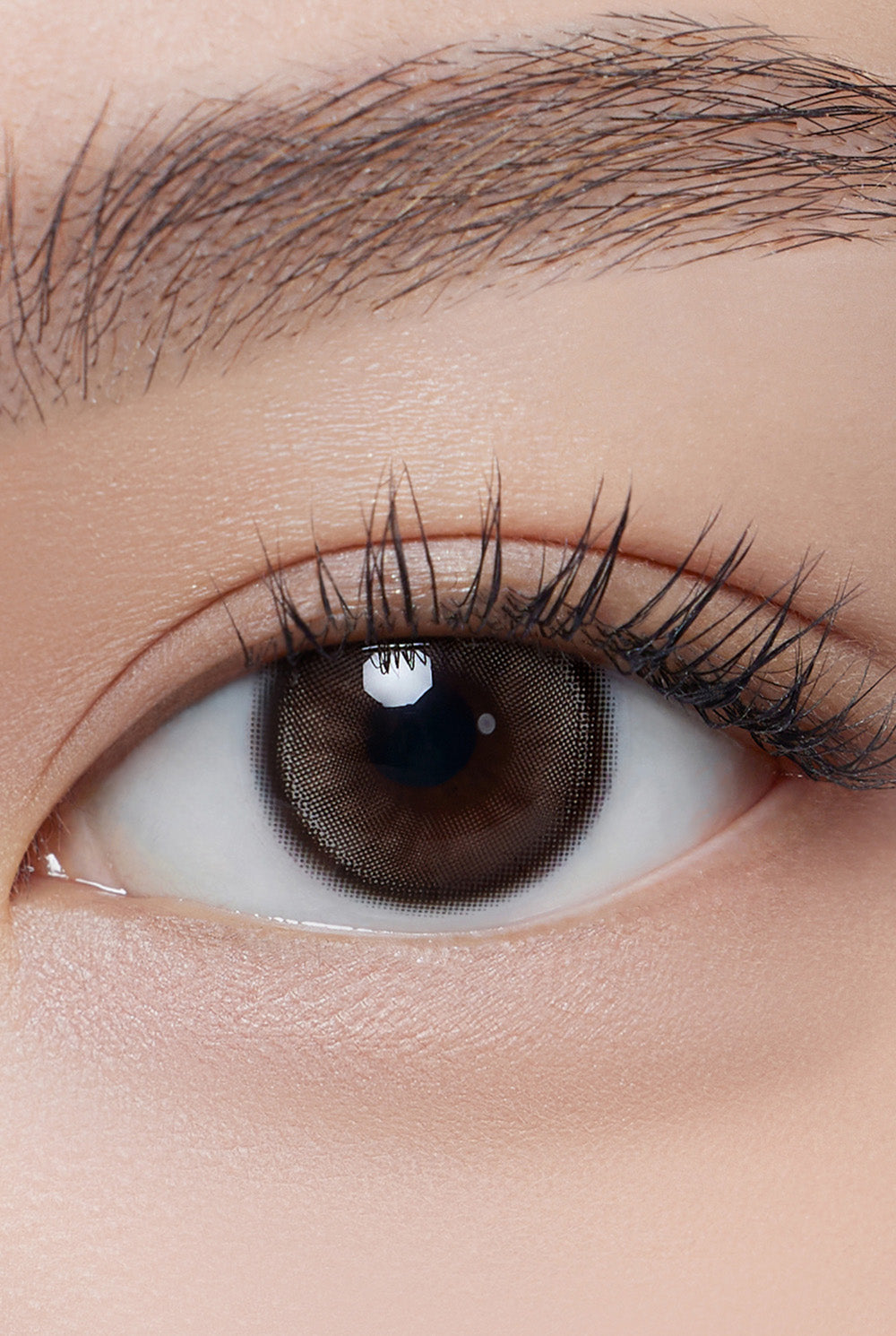 Dolly Kristin 1Day - 巧克棕