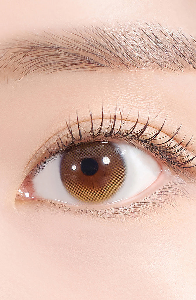 Hapa Kristin Secretive Kristin Basic Monthly Secretive Kristin Basic - 棕色