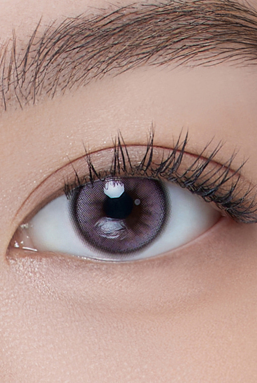 Dolly Kristin 1Day - 紫色