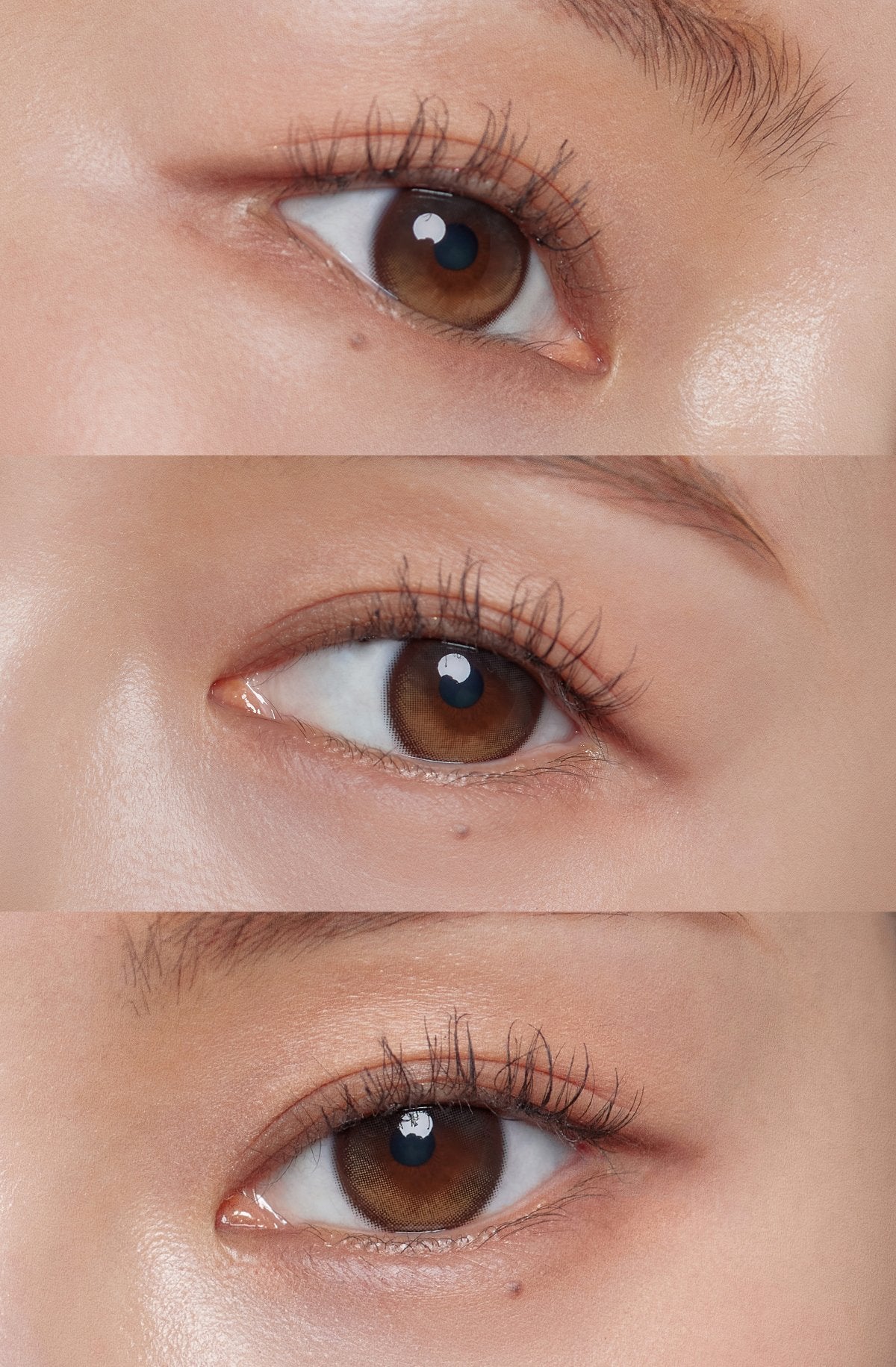 Hapa Kristin Secretive Kristin Plus Monthly Secretive Kristin Plus